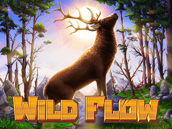 Wild Flow game cover